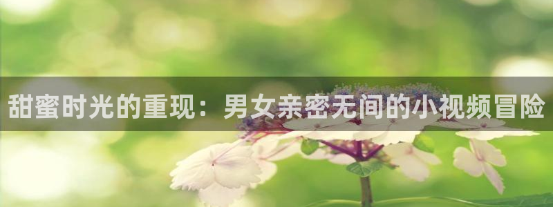 漫蛙漫画网页版免费入口在哪