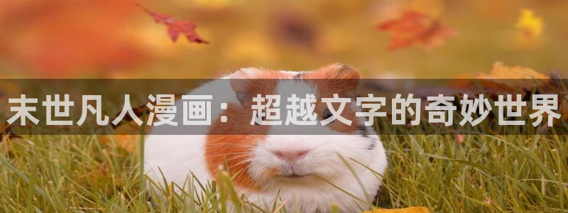 漫蛙漫画网站在线观看：末世凡人漫画：超越文字的奇妙世界